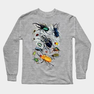 Coleoptera Beetles and Weevils J Mayson Natural Long Sleeve T-Shirt